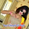 About Teri Chhati Gi Fual Song